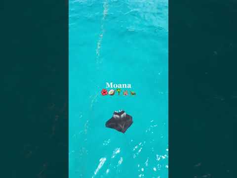 Moana 🌴🥝🫶🍍🎧 #bts #тренды #football #dance #funny #edit #love #bts_official_bighit #90s #kpop