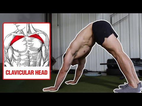 10 Pushup Variations for Upper-Body MASS