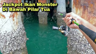 Gak Nyangka Banget !!! Langsung Dapat Jackpot Babon Mancing Di Bawah Pilar tua 