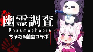 【Phasmophobia】パンダとアラクネのドキドキ幽霊調査！【ちゃむさん】
