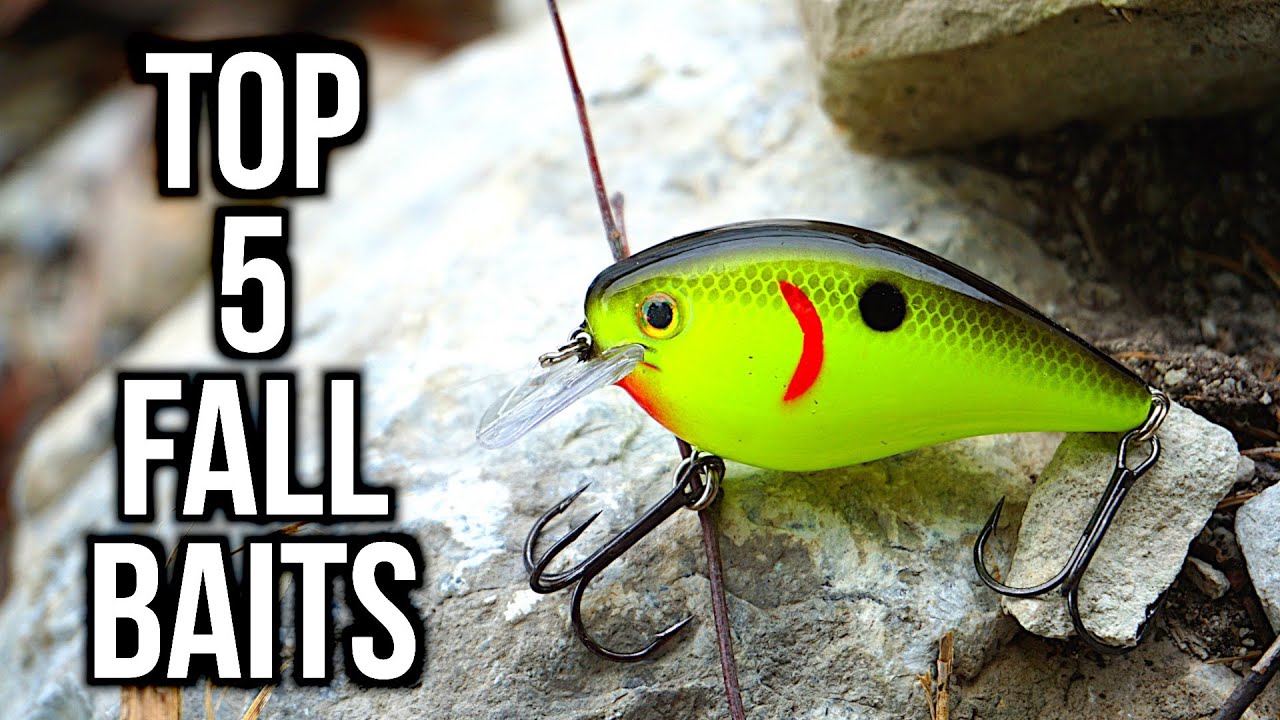 Top 5 Fall Bass Fishing Lures