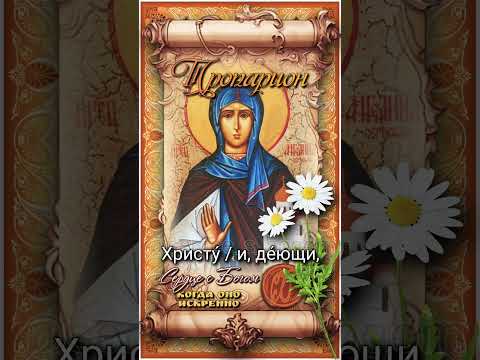 14 июля Прав. Ангелина, деспотиса Сербская (XVI век)