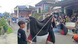 BANTENG BOCIL