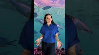 Shira Samuels-Shragg invites you to an Under the Sea adventure at UNC Health Summerfest