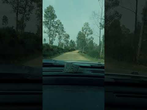 Dust, silence and road. - 4