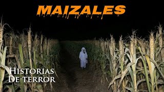 Historias de Terror Reales Ocurridas en MAIZALES Y CAÑAVERALES