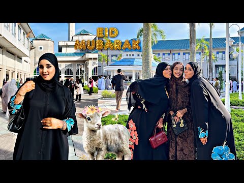 EIDI UGU HOREYSEY EE AN ANIYO ZAMZAM ISLA EIDNEY EID MUBARAK❤️