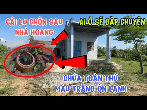 Phát hiện Cái lu chôn sau nhà hoang ai cũng tá hỏa khi biết được sự thật ớn lạnh