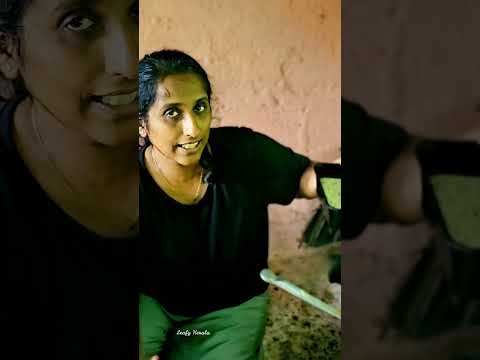 ബൂസ്റ്റും ഹോർലിക്‌സും  വേണ്ട/ഹെൽത്തി എനർജി പൌഡർ വീട്ടിൽ ഉണ്ടാക്കാം/Healthy Energy powder Recipe