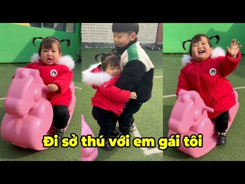 | Cuộc sống gia đình| Tiktok| Gia Đình Vui Nhộn