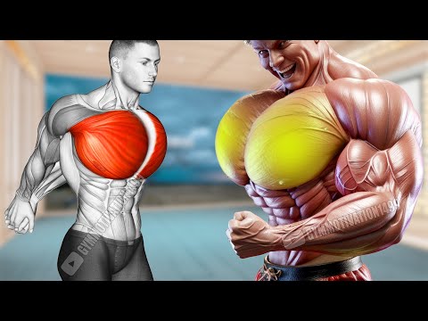 7 Best Exercises to Get a Huge Chest