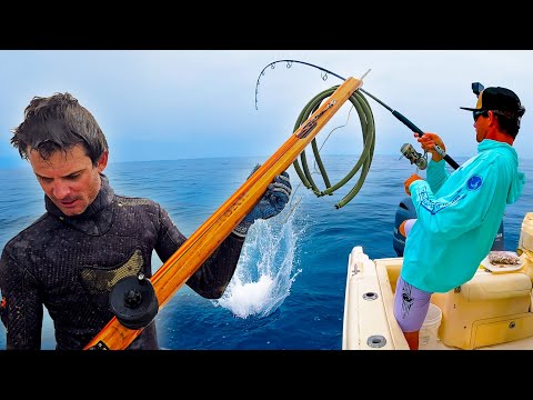SPEARGUN .vs Traditional Fishing, Which is Better? | EPIC Snapper Day - Cubera + Mangrove + Mutton