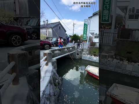 Little Little Boatman is stunned now