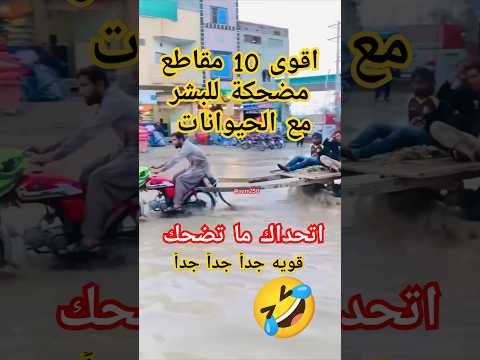 مضحك : مقاطع مضحكة للبشر والحيوانات #funny #ضحك #السعودية #comedy #اكسبلور#حيوانات #حياة_البرية