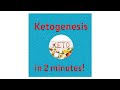 Understanding Ketogenesis and Ketone Production