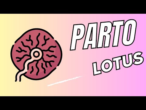 PARTO LOTUS - ¿Qué dice la evidencia?-LOTUS BIRTH