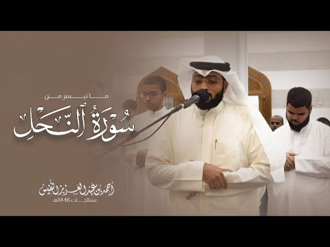 عشائية جميلة بنفحات حصرية من سورة النحل