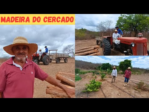 Buscando a Madeira do Novo Cercado +Mostrando Sistema de Gotejamento Funcionando ao Seu Zé