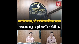 निगम कल से करेगा सख्त कार्यवाई, चारे, मीट और कबाड़ की दुकानों पर कार्यवाई