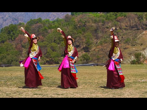 New Tibetan dance (ཕྱིང་དཀར་ཞྭ་མོ) 2025#traditionaldance #dance #tibetanmusic 💃💃💃