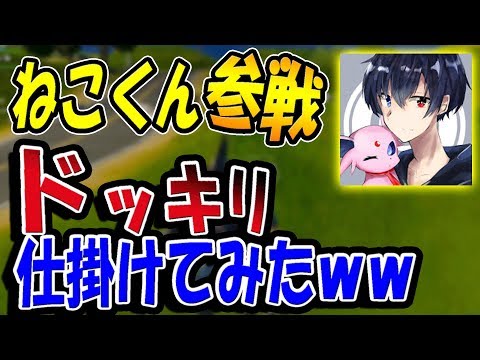 ねこくん参戦！さぁ、早速ドッキリ仕掛けましょうかｗｗ　【フォートナイト】【バーボンクラン】