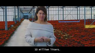 Alessandra Pighin - WIA Special mention 2025