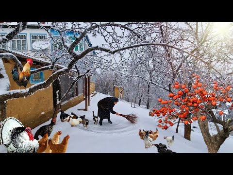 В Горном Деревне Азербайджана Идет Снег.  @Kənd Dadı | A Taste of the Village