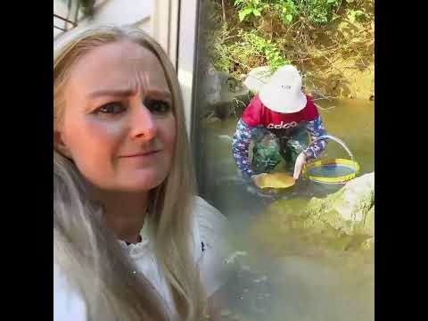 These barbie floaties aka drink holders are all the rage at the pool #momcomedy #momtok #barbie