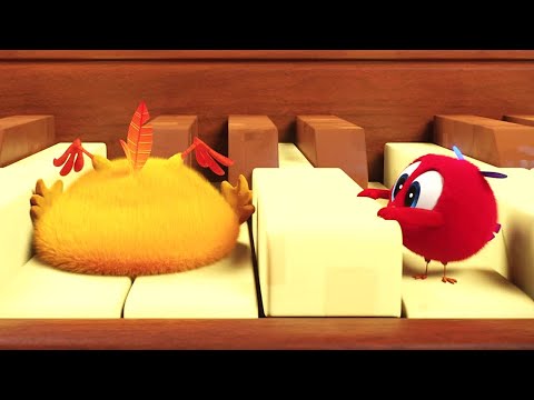 Chicky, o aprendiz de músico | Onde está Chicky? | Coleção desenhos animados Infantil