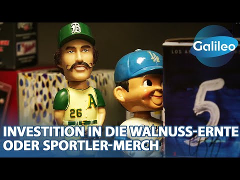 Alternative Geldanlagen: Investition in die Walnuss-Ernte oder Sportler-Merch