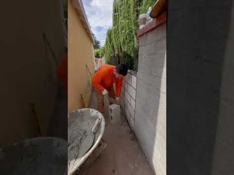 Los albañiles /the bricklayers