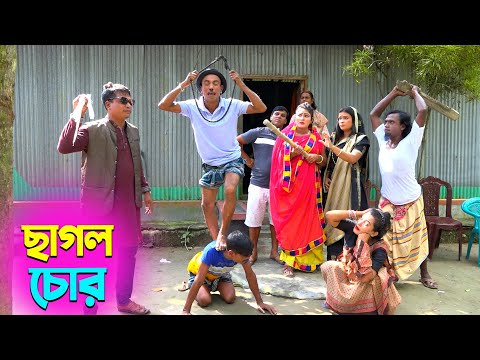 তাঁরছেরা ভাদাইমার সেরা হাসির কৌতুক ছাগল চোর | Cagol Chor | Tarchera Vadaima | New Koutuk 2025