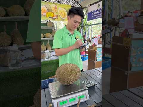 DURIAN HORLOR