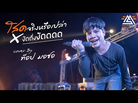 โสดจริงหรือปล่าว | งัดถั่งงัด | ท๊อป มอซอ | Cover แสดงสด 4K