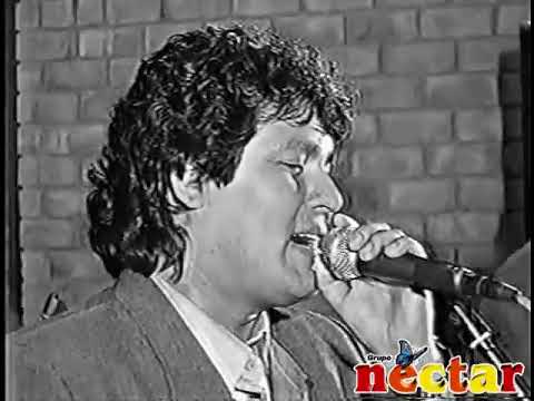 ROSAS ROJAS - Grupo Néctar | En vivo