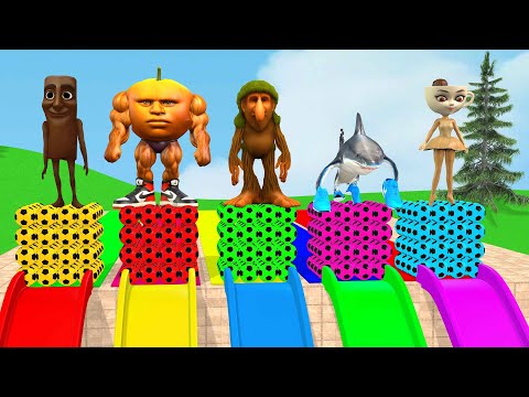 Long Slide Game With Cow Elephant Gorilla Hippopotamus Tiger 3d Animal Game Funny 3d Animals