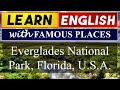 Everglades Ecosystem and Conservation