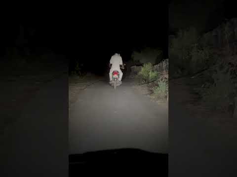 बिना सिर वाली लड़की बाइक ऊपर बेठ गई