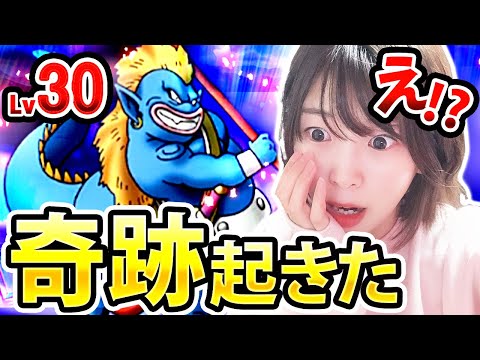 超強敵！！！Lv30ずしおうまるに挑んだら奇跡起きた！！【DQウォーク】【ドラゴンクエストウォーク】【ドラクエウォーク】