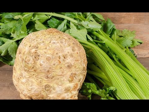 Это НАДО ВИДЕТЬ Очень ЭФФЕКТИВНЫЙ способ ПОСЕВА СЕЛЬДЕРЕЯ.