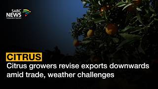 YouTube video thumbnail:  Citrus Growers Revise Exports Downwards Amid Trade, Weather Challenges 