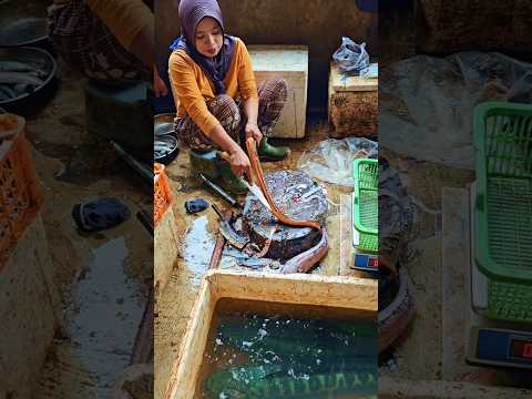 Bersihin Belut Cepet Bgt di Pasar Graha