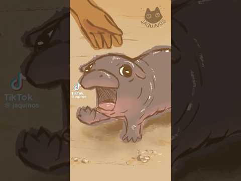 Moo Deng vs Zookeeper