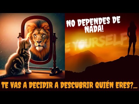 LO QUE BUSCAS TE ESTÁ BUSCANDO A TI... (Y este vídeo te dará la respuesta...)