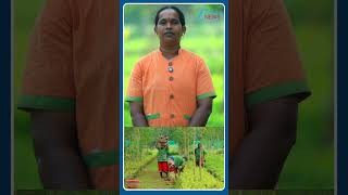 பணக்கஷ்டம், மனக்கஷ்டம் இரண்டையும் போக்கும் ஈஷா நர்சரி!