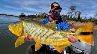 Bait Cast - Dorado - Ita Ibaté