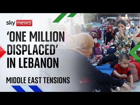 Lebanon faces 'catastrophic humanitarian situation' | Israel-Hezbollah conflict