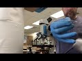 Onion Tissue Observation Techniques
