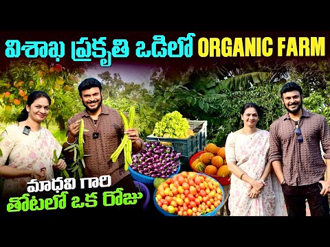 విశాఖ ప్రకృతి ఒడిలో ఆర్గానిక్ తోటలో | Nature Organic Farm in Vizag | Ravi Telugu Traveller