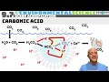 Ocean Acidification and Its Effects
